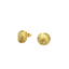 CIRCLE LEAVES EARRING (GOLD)